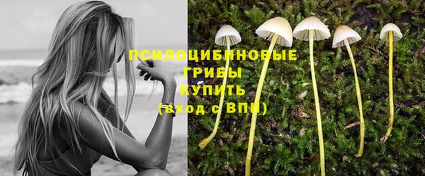 индика Абдулино