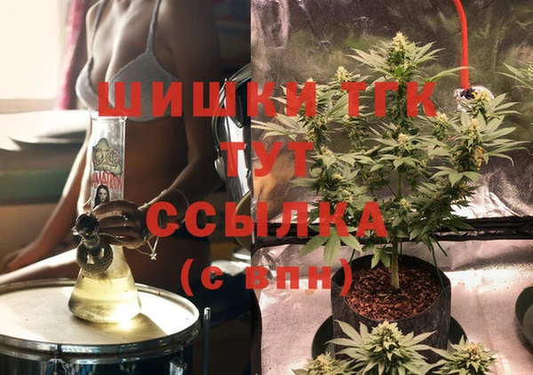 индика Абдулино