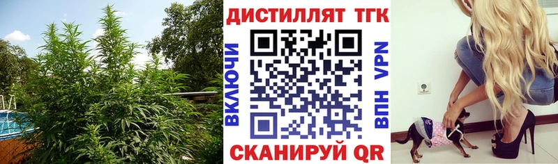 Дистиллят ТГК концентрат  Ряжск 