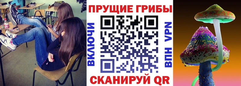 Псилоцибиновые грибы мицелий Ряжск